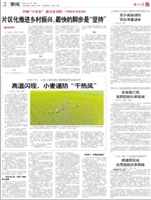 大众日报期刊